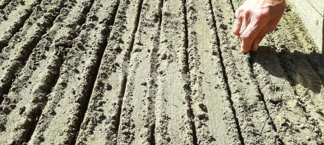 436297032_723982779905134_7900524983748332404_n