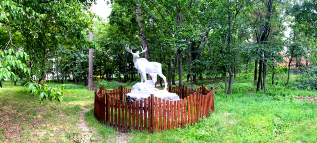 лоси (широкие)