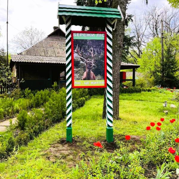 photo_2024-04-29_08-10-23