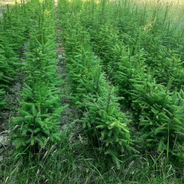 photo_2024-06-21_08-27-08