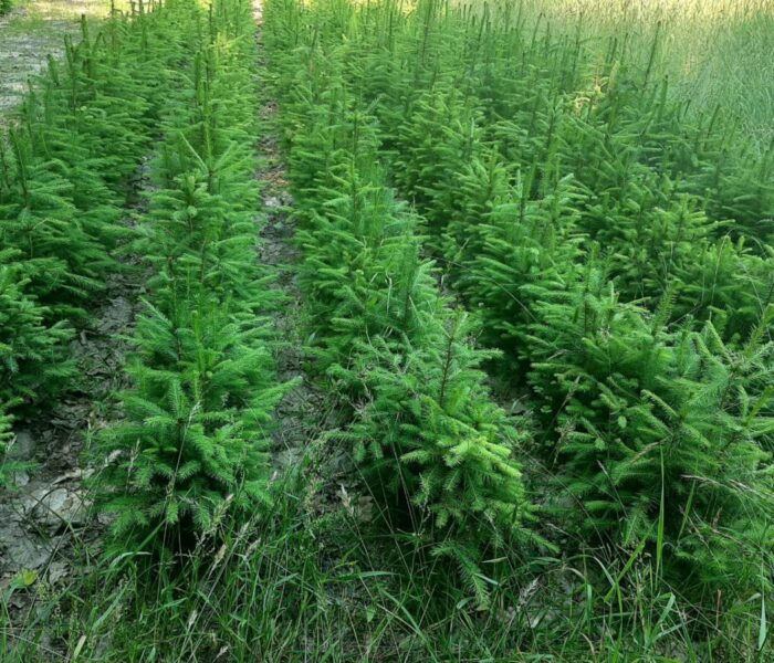 photo_2024-06-21_08-27-08