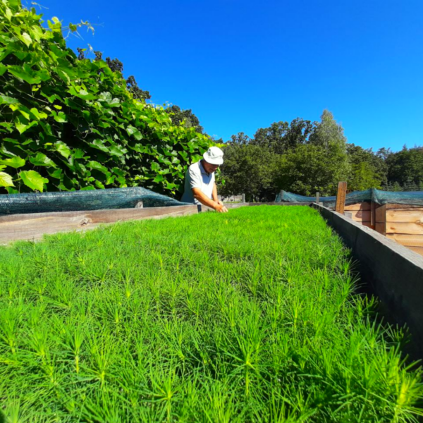 photo_2024-07-24_08-06-15 (2)