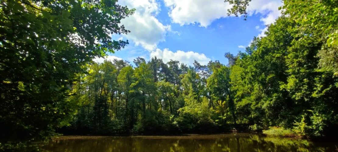 photo_2025-07-23_22-01-33